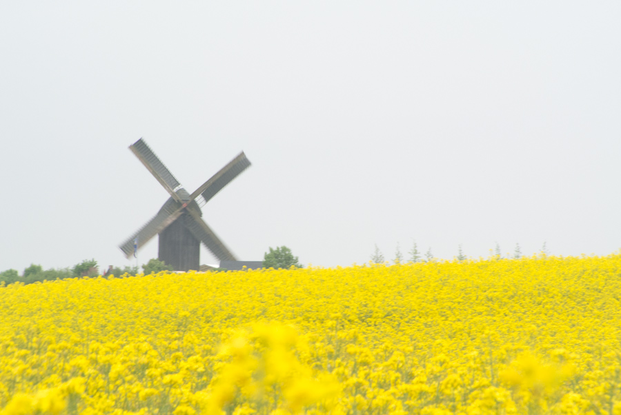 20130520 DSC 2502