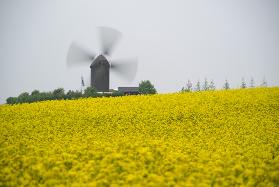20130520 DSC 2505