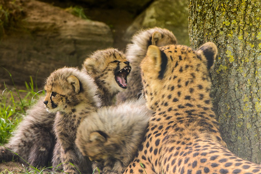 20130601 0382 [NIKON D7100] 400 mm,1 50 Sek. bei ƒ   4,5