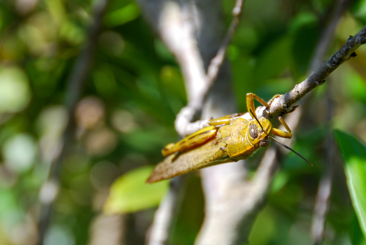 20130611-DSC_0265.jpg
