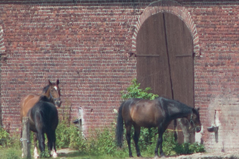 20130614 1582 [NIKON D7100] 200 mm,1 640 Sek. bei ƒ   5,6