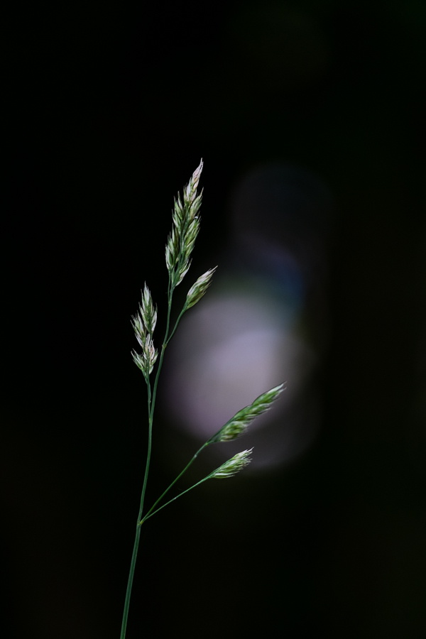20130626 151022 2