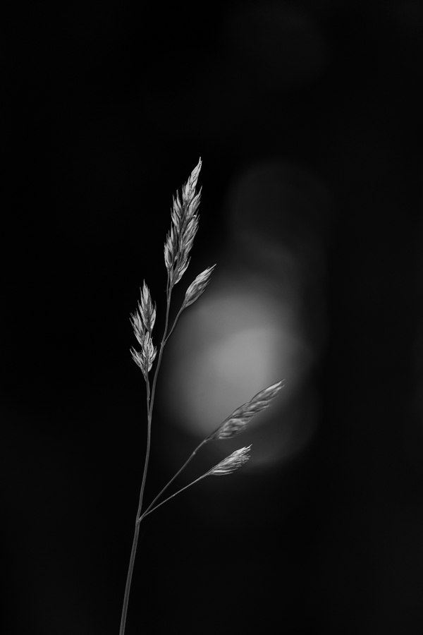20130626 151022