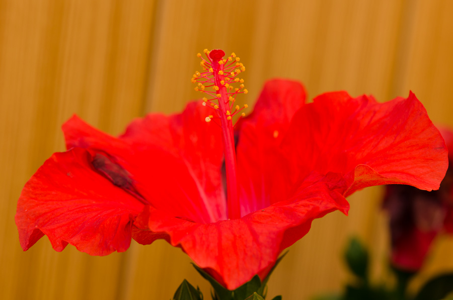 20130720 DSC 3223
