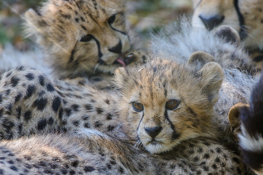 20130810 3573 [NIKON D7100] 400 mm,1 400 Sek. bei ƒ   6,3 2