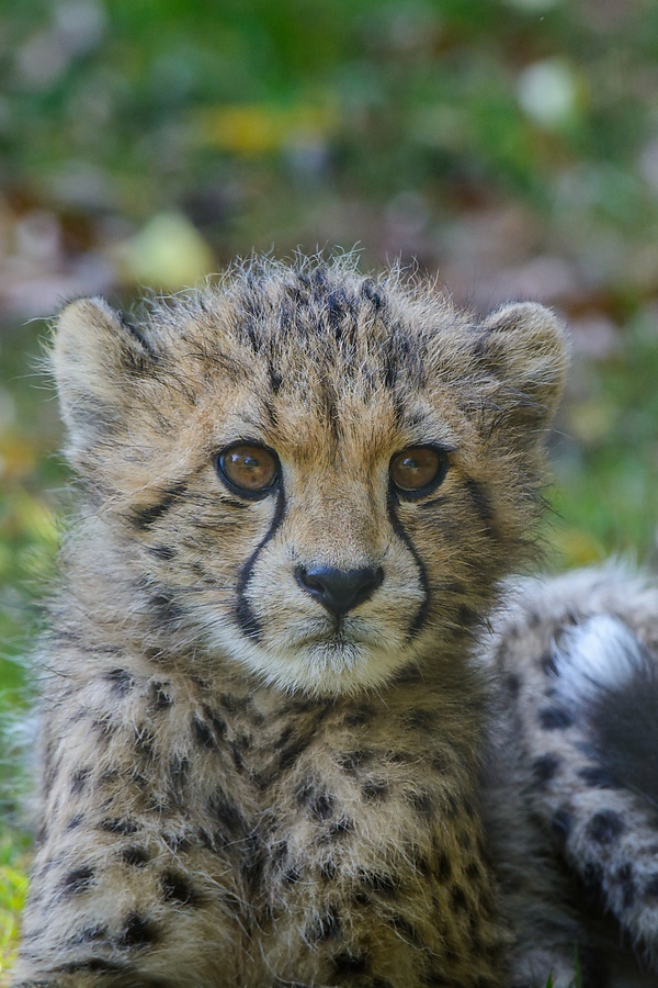 20130810 3586 [NIKON D7100] 400 mm,1 400 Sek. bei ƒ   6,3