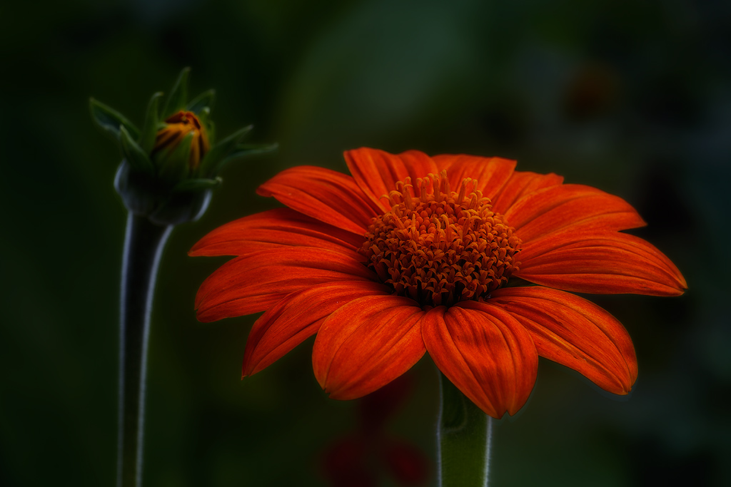 20130813 0007 NX 1024Px