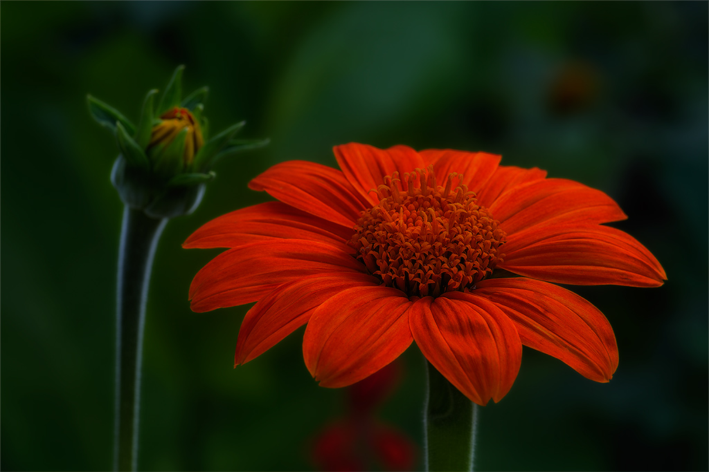20130813 0007 NX Version2 1024Px