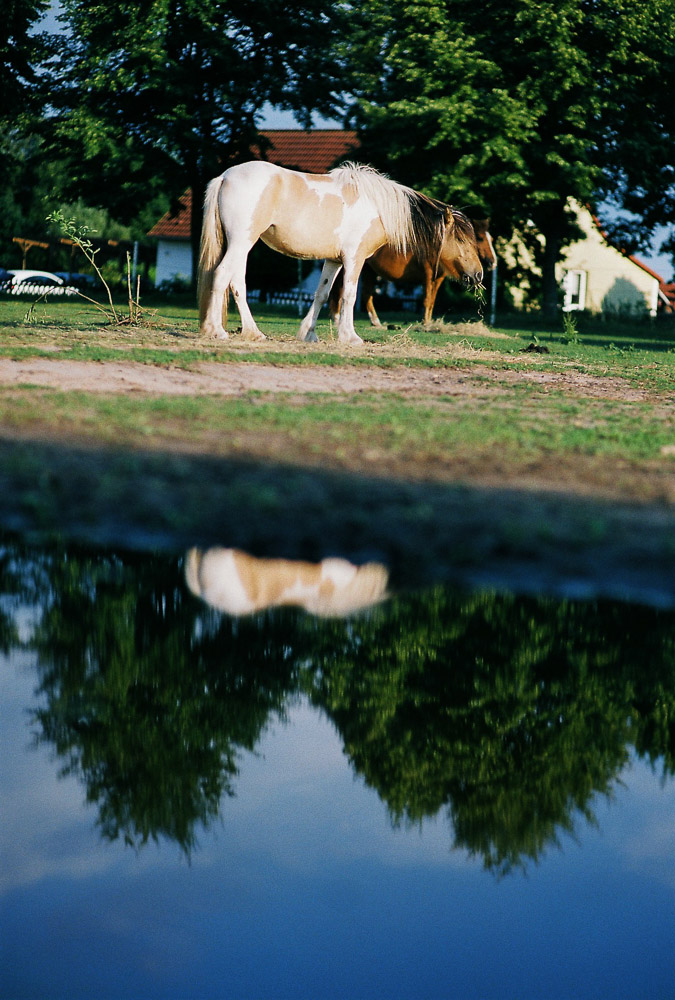 20130901 A008546 R1 23 13A