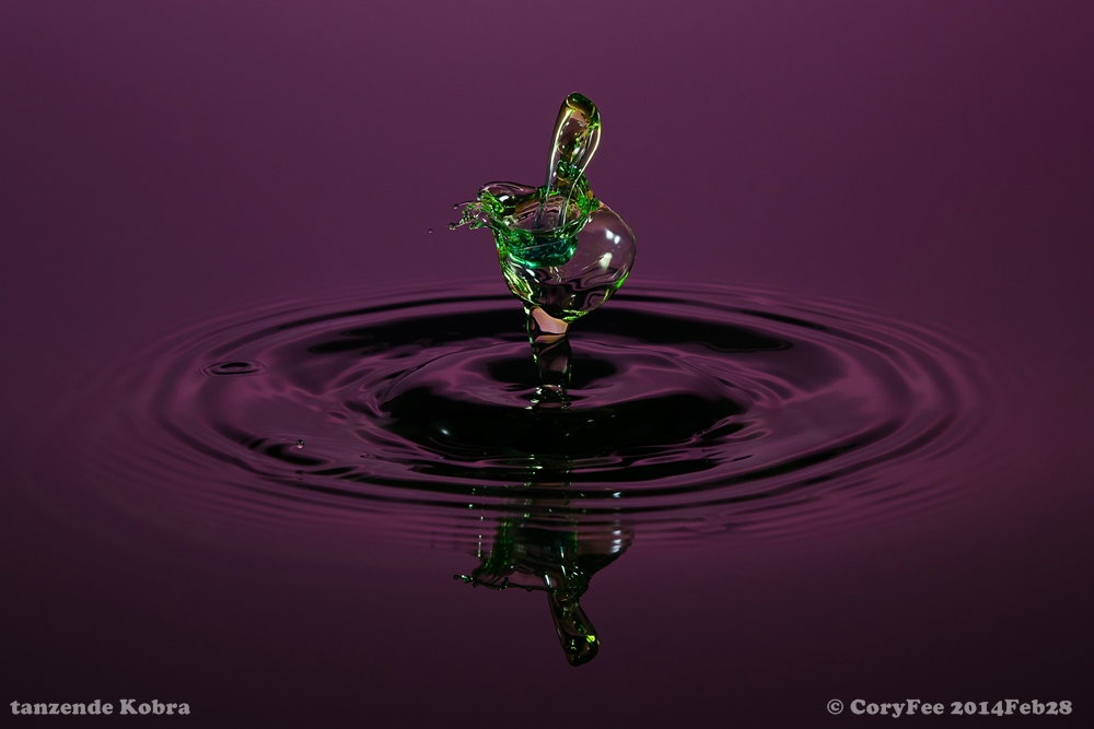 20130928 DSC 0148nf