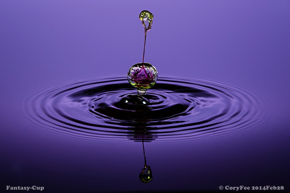 20130928 DSC 0249nf