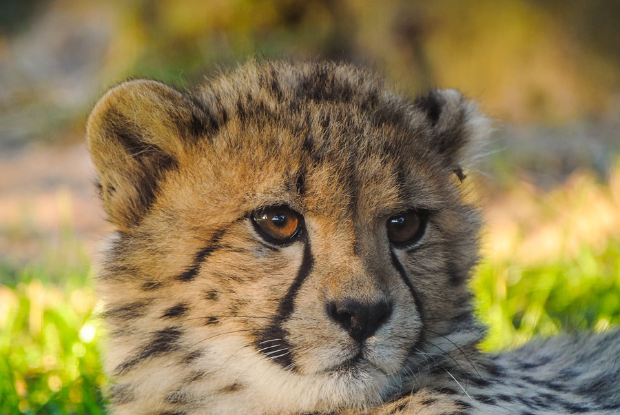 20130929 9101 [NIKON 1 V1] 400 mm,1 40 Sek. bei ƒ   4,0