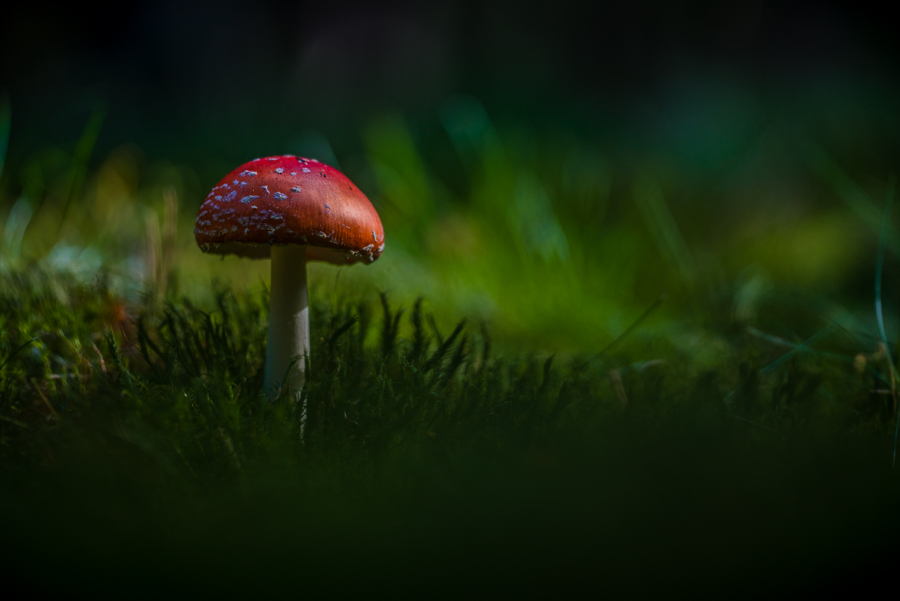 20131003 125600