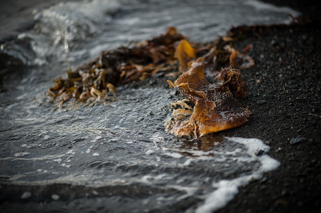20131009 Torfvík