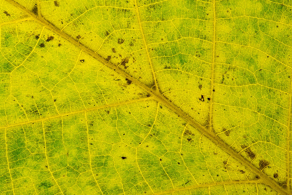 20131025  DSC4156