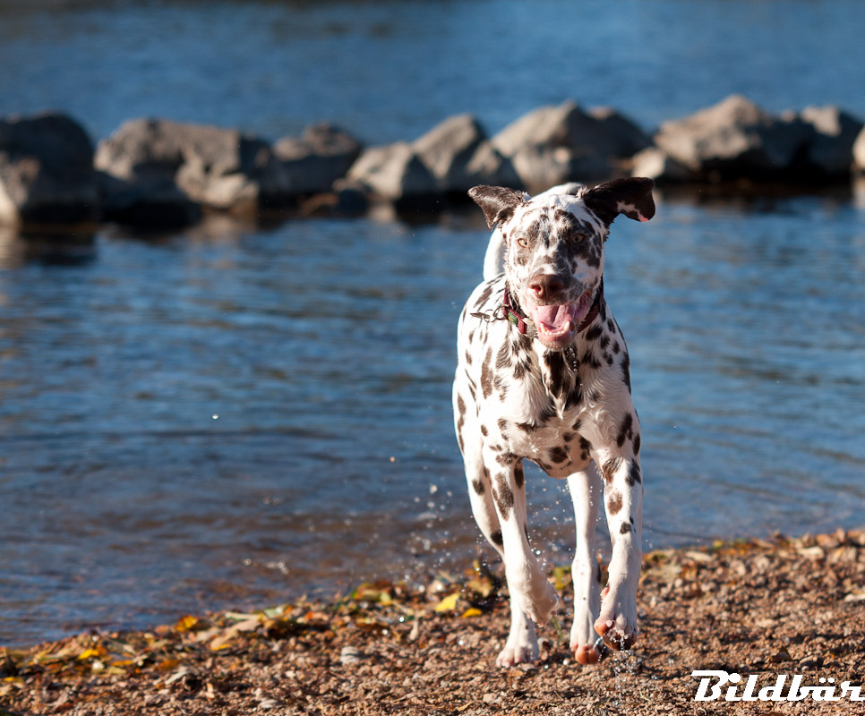 20131028 1714 Baden an der HuWi
