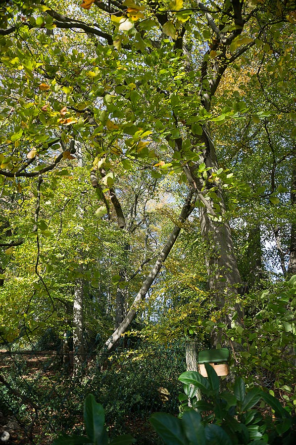 20131109 DSC00490 Bearbeitet