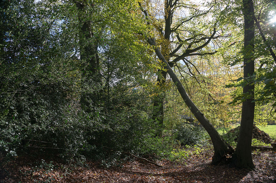 20131109 DSC00496 Bearbeitet