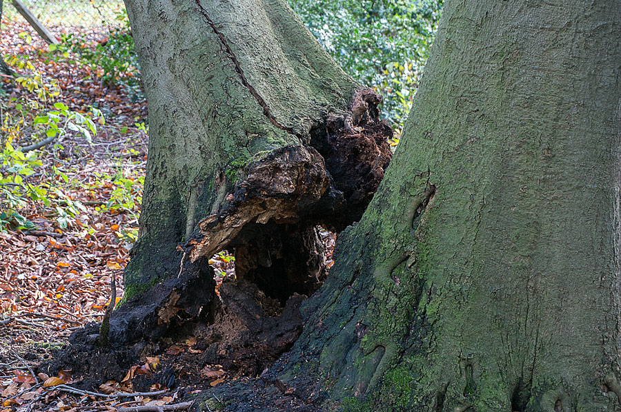 20131109 DSC00500 Bearbeitet