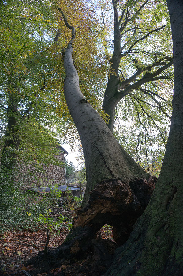 20131109 DSC00503 Bearbeitet