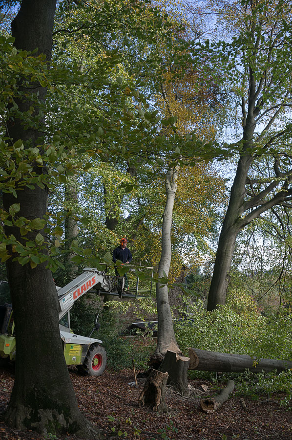 20131109 DSC00509 Bearbeitet