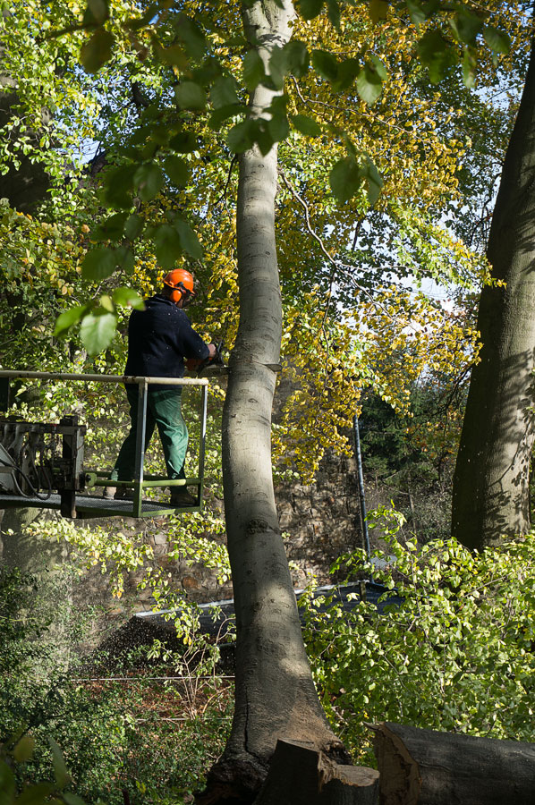 20131109 DSC00511 Bearbeitet