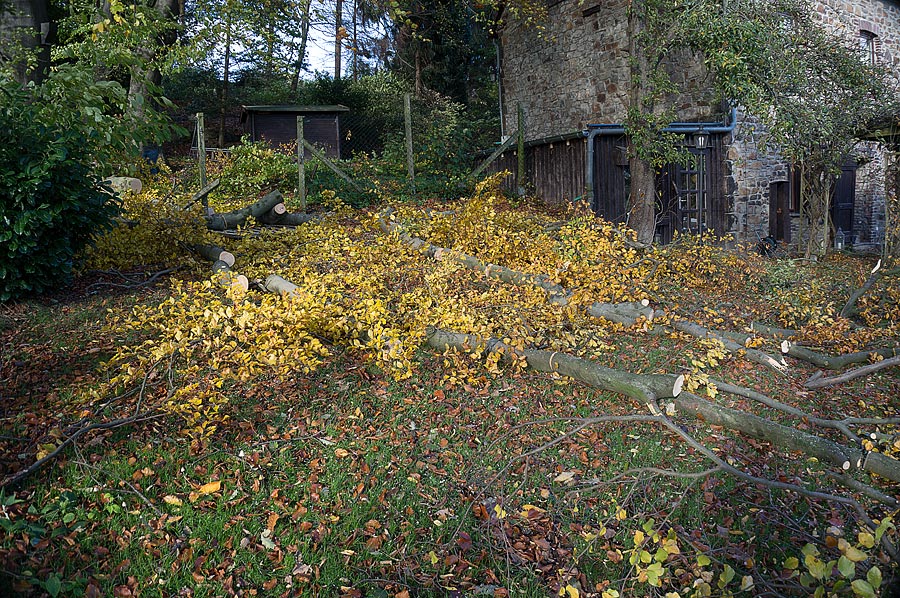 20131109 DSC00515 Bearbeitet