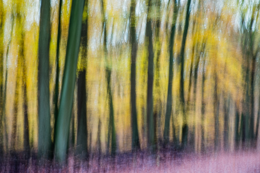 20131110 115148