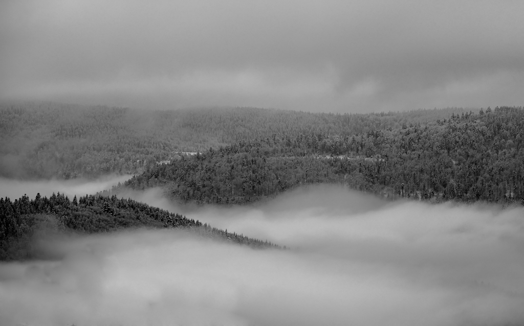 20131122 164509 1