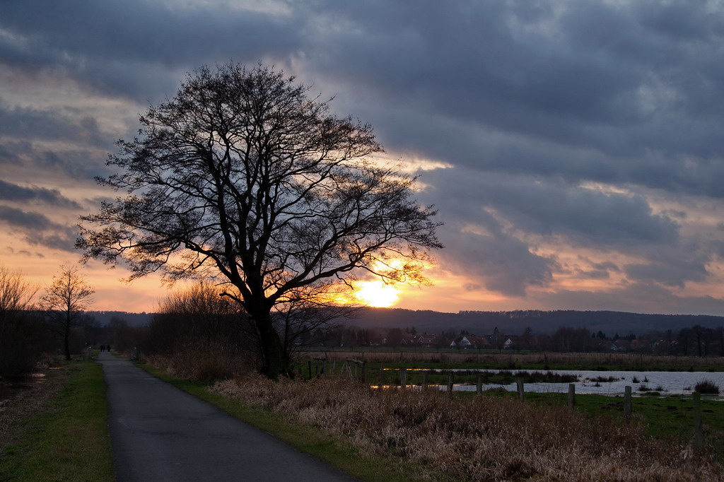 2014 01 08 Steinhuder Meer  (157a  von 223)