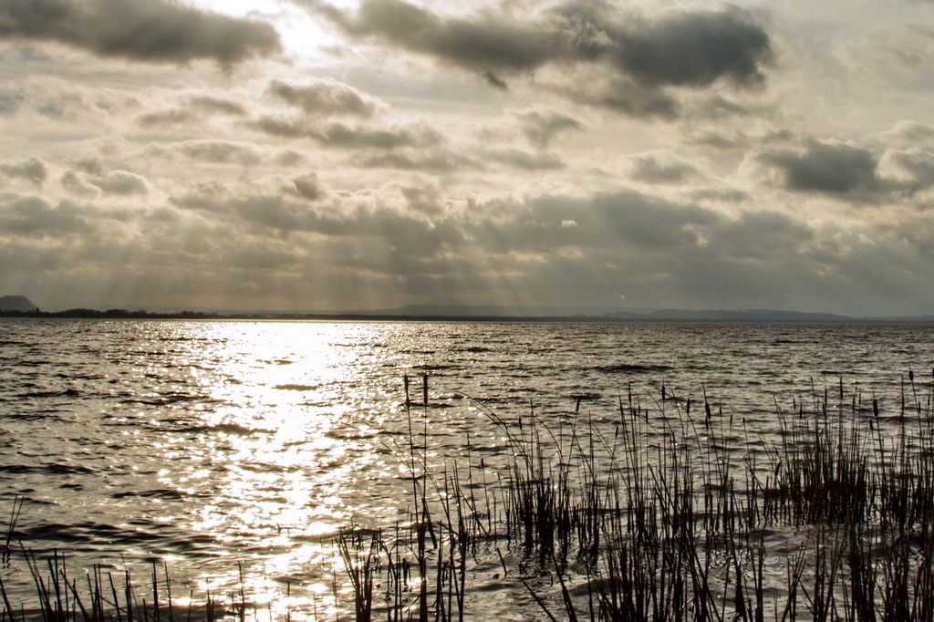 2014 01 08 Steinhuder Meer  (1a von 223)