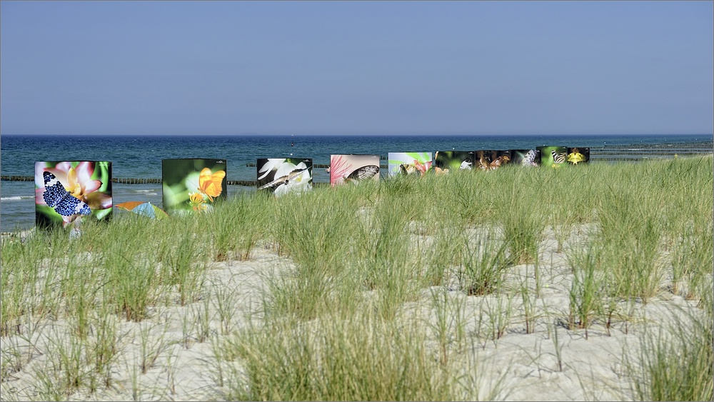 2014 05 26 15 22 43   Zingst