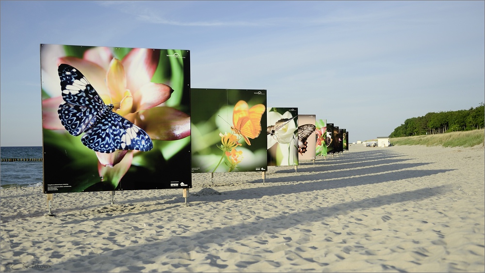 2014 05 26 19 57 25   Zingst