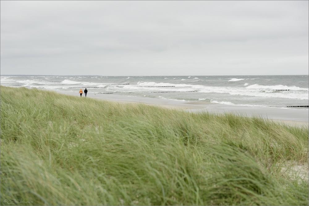 2014 05 27 12 15 50   Zingst