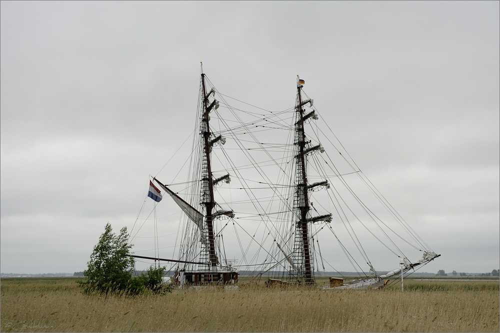 2014 05 27 15 36 28   Zingst