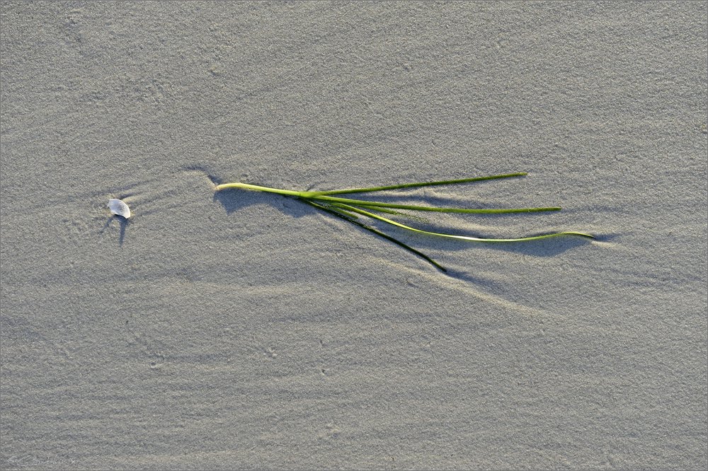 2014 05 29 20 22 29   Zingst