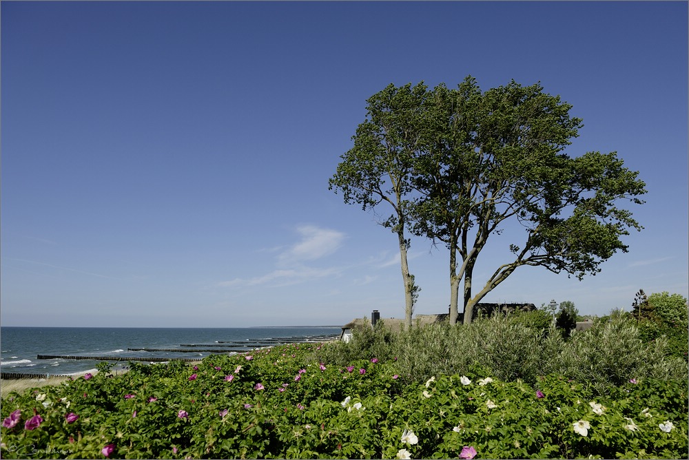 2014 05 30 16 12 26   Ahrenshoop
