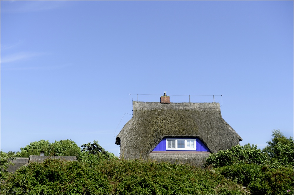 2014 05 30 16 35 31   Ahrenshoop