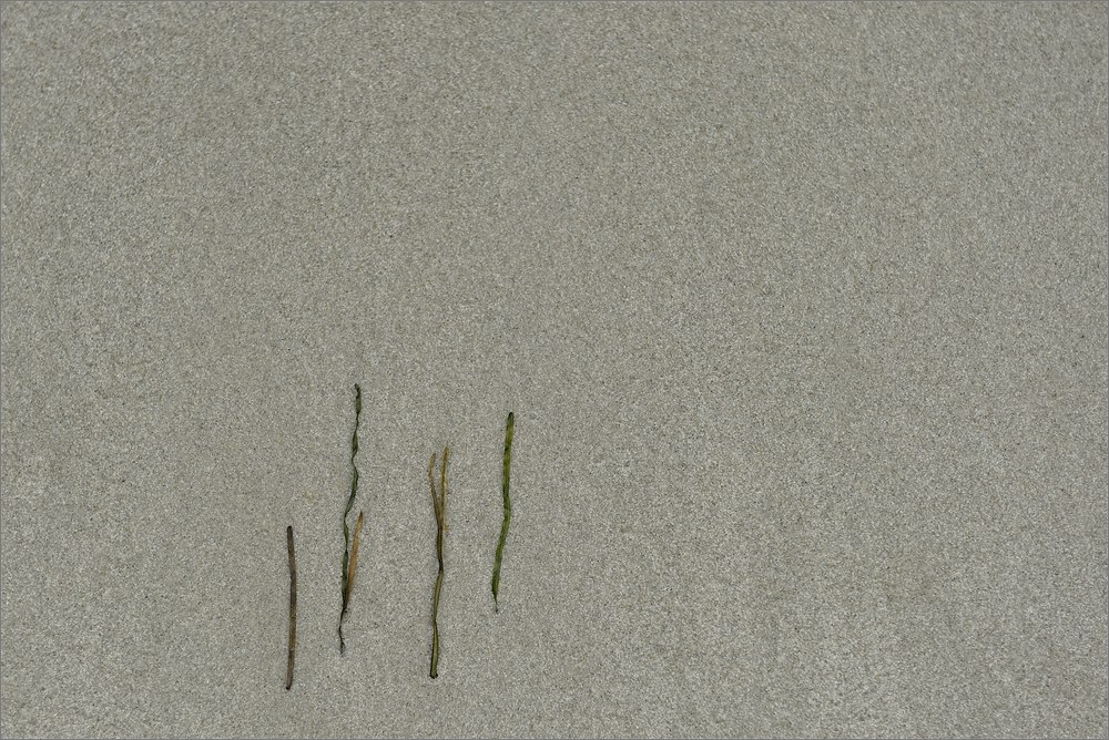 2014 05 31 13 51 05   Darßer Ort