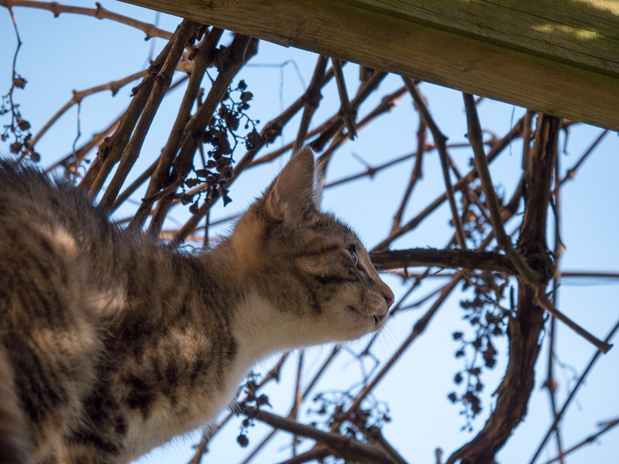 20140101 P1060094