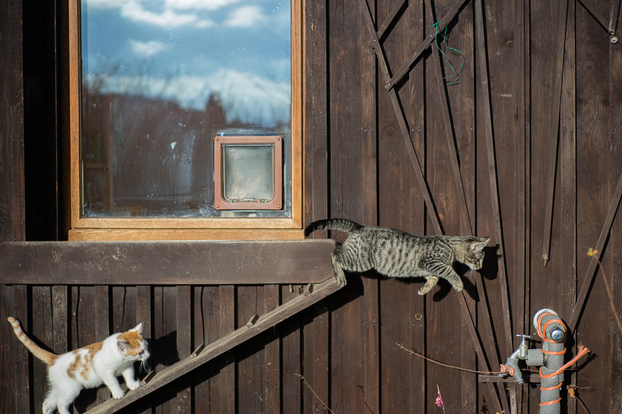 20140111 DSC00374