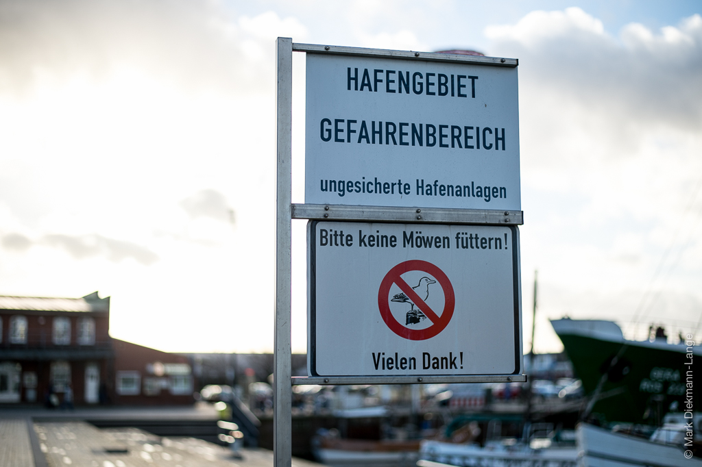 20140112 keine Möwen füttern 0001