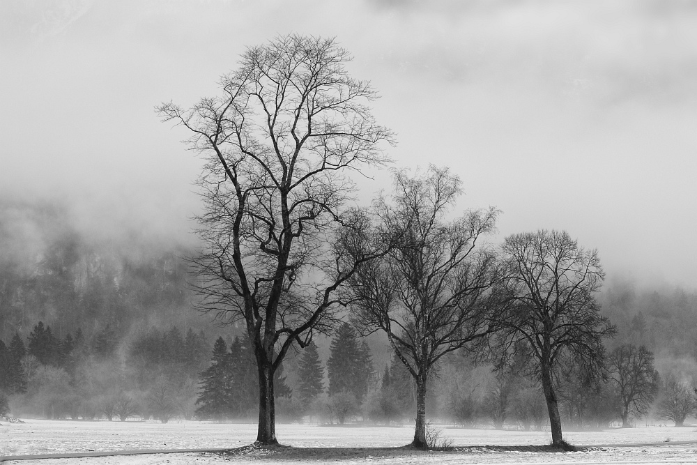 20140117 114747