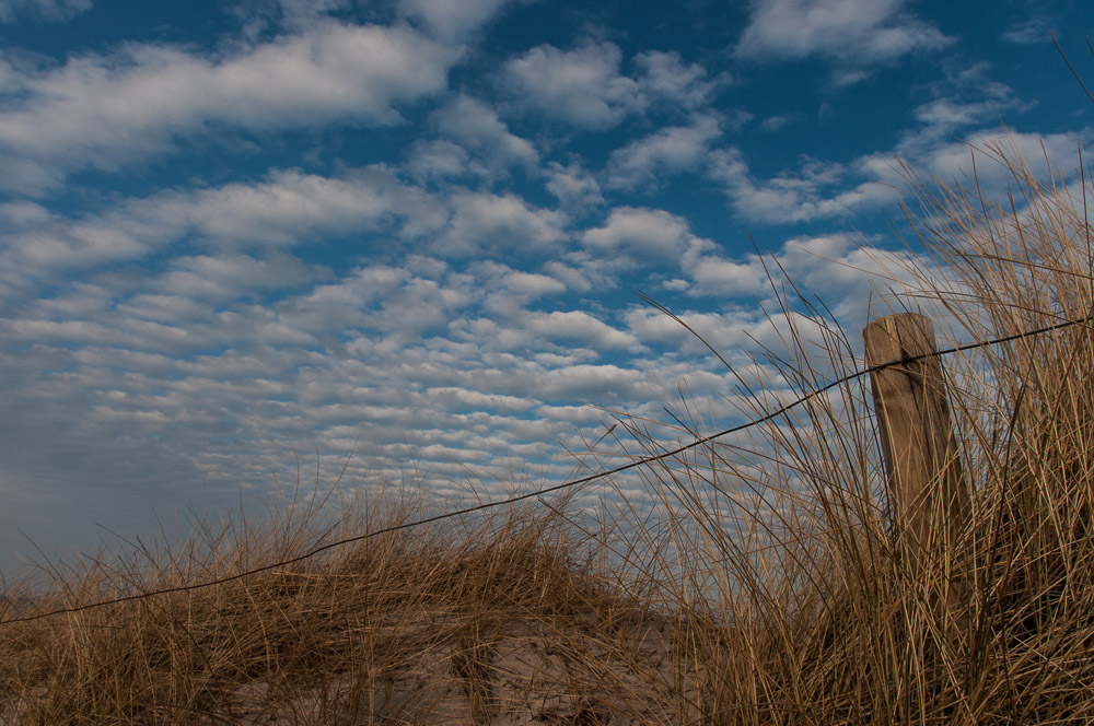 20140204 03 Markgtrafenheide02