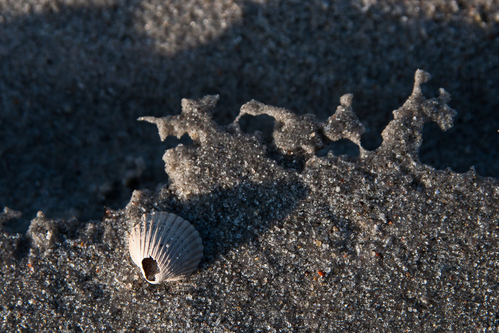 20140204 14 Markgtrafenheide09