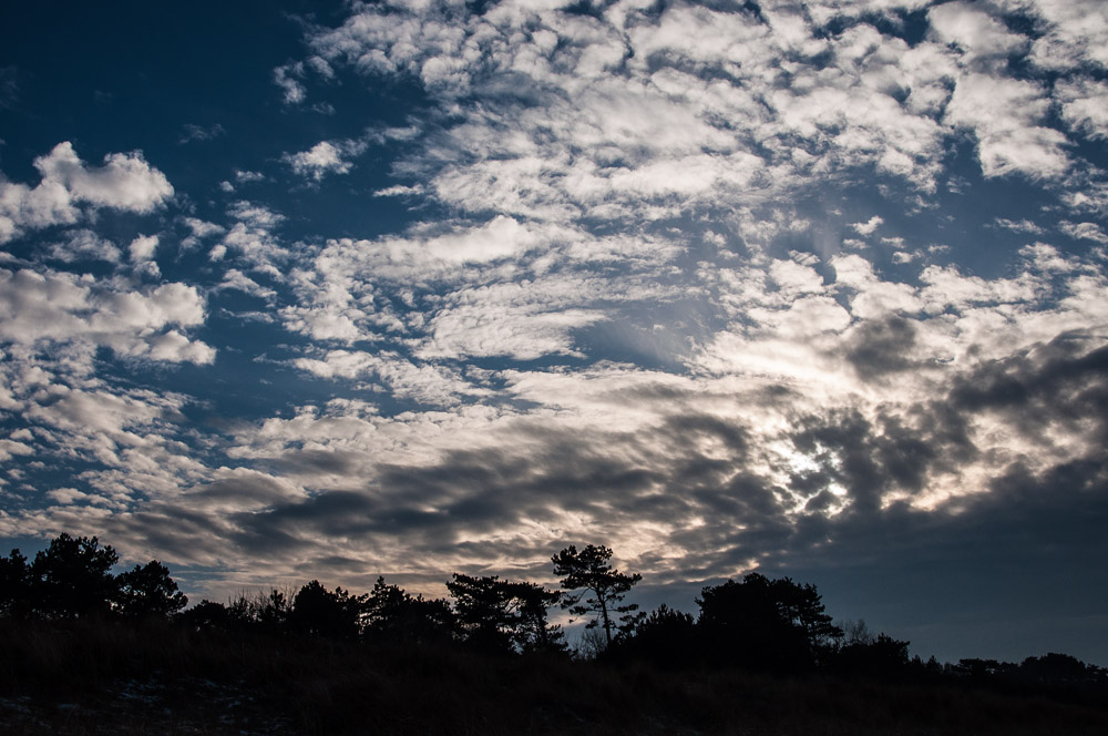 20140204 23 Markgtrafenheide13