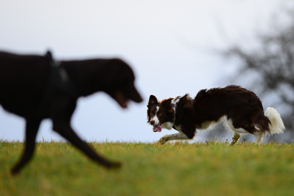 20140222 DSC 6141