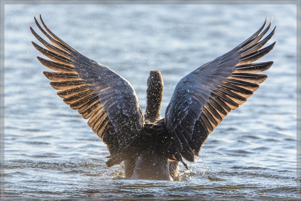 20140223 5223 [NIKON D7100] 600 mm,1 1000 Sek. bei ƒ   4,0