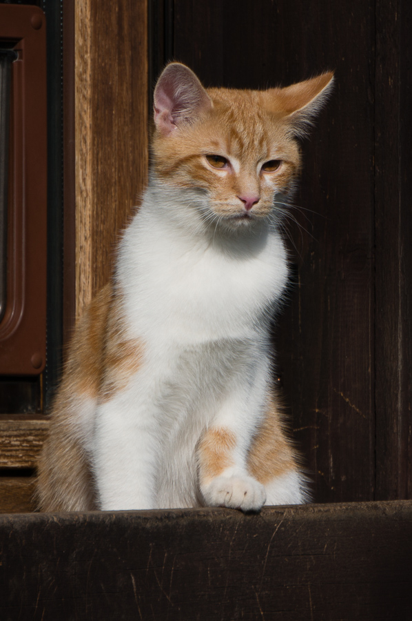 20140223 DSC01471