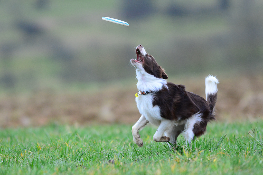 20140301 DSC 6267